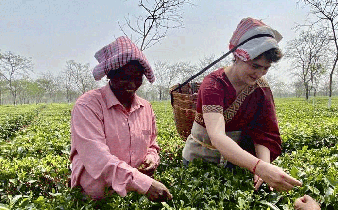 Priyanka at a tea garden in Assam